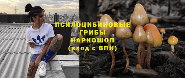 МДПВ Дмитровск