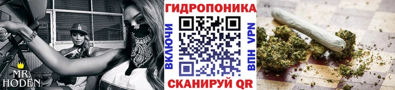 Купить  Мантурово  Канабис планчик 